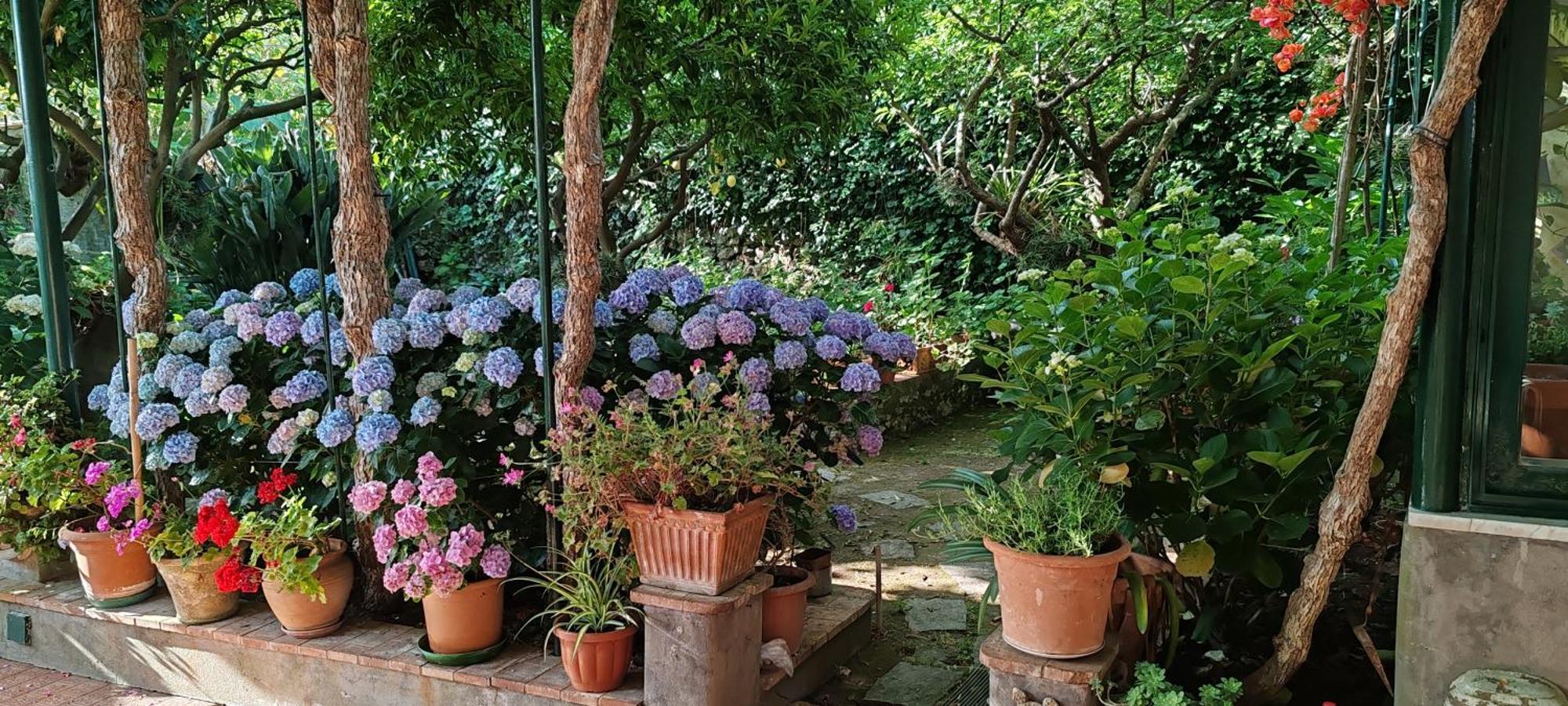 Dei Fiori Bed & Breakfast *