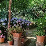 Villa Dei Fiori B&B