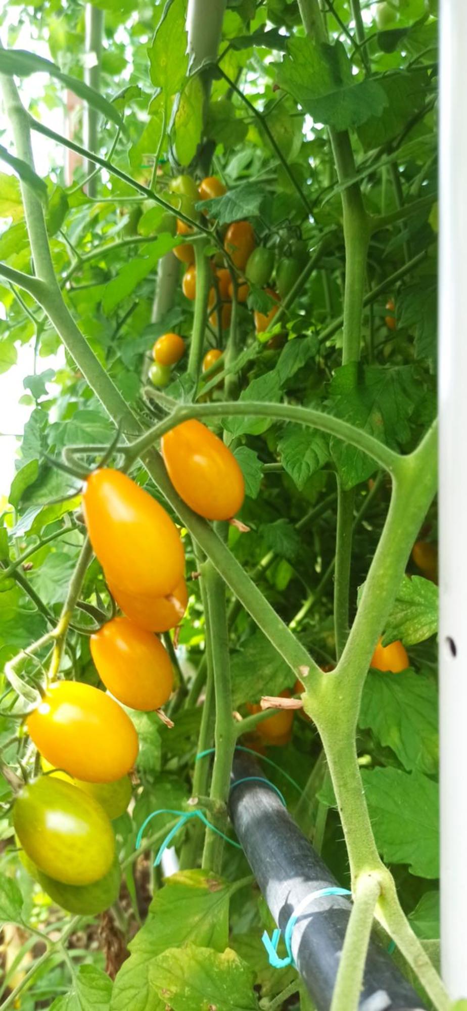 Dei Fiori Frühstückspension