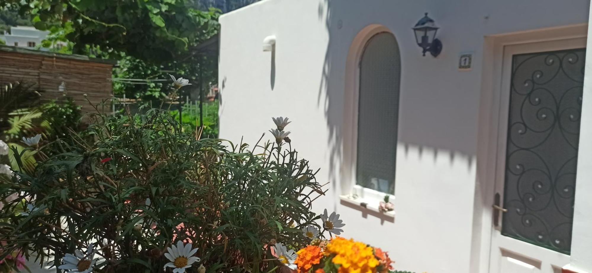 Dei Fiori Capri