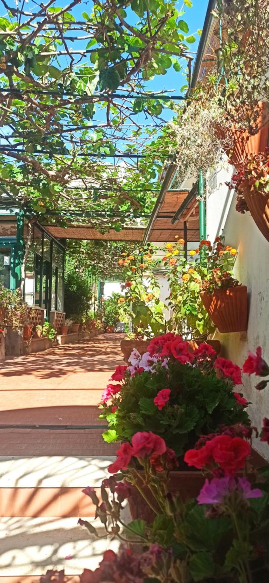 Frühstückspension Dei Fiori Capri
